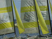 wpe1A.jpg (4567 octets)